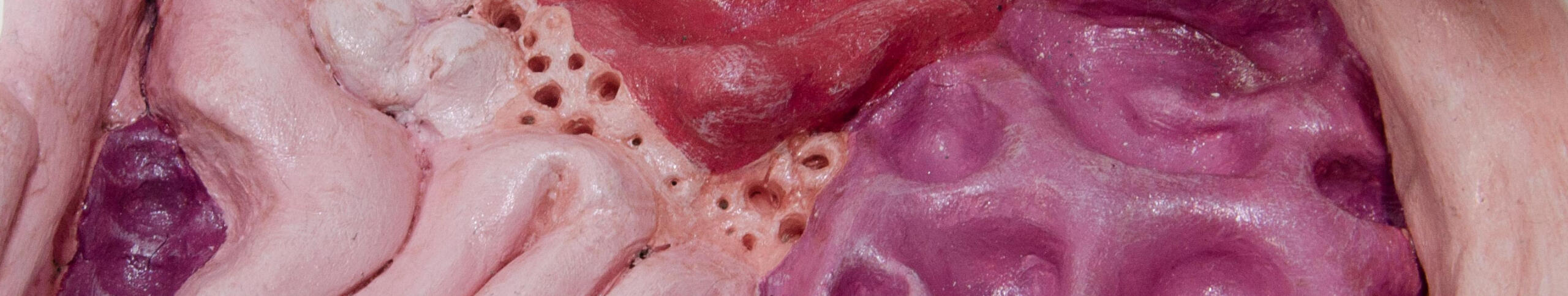 A close up of clay, organ-like forms in pink and purple tones, finished with a shimmery varnish creating a wet look.